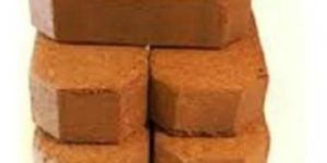Coco Peat Bricks