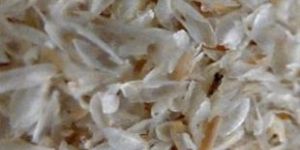 Psyllium
