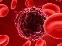 Ayurvedic Blood Purifier