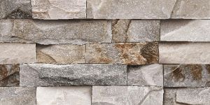 Elevation Series Wall Tiles (25x45)