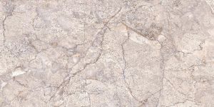 Glossy Series Wall Tiles (25x45)