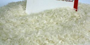 High Quality White Rice