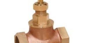 Gun Metal Globe Valve