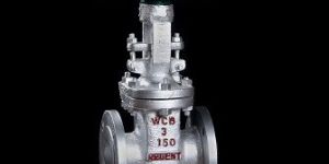 Pneumatic Gate Valve