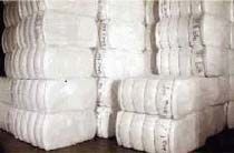 Cotton Bales