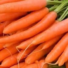 Fresh Carrot