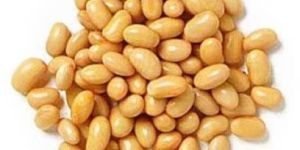 Soya Bean Seeds