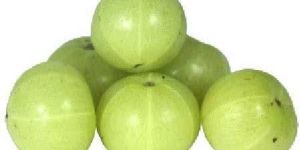 Gooseberry