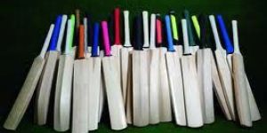 Popular Willow Cricket Bats