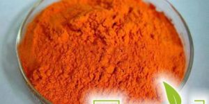 Curcumin Extract