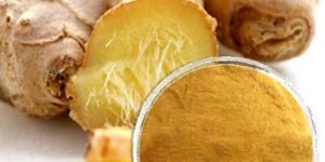 Ginger Root Extract