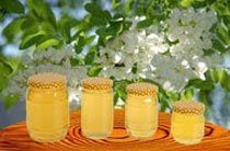 Acacia Honey