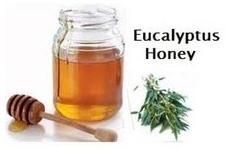 Eucalyptus Honey