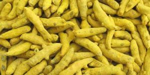 Turmeric Finger (Double Polish)