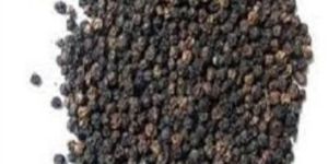 Black Pepper Seeds