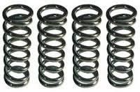 Automobile Springs