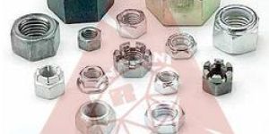Hex Nuts