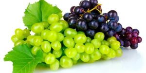 Fresh Grapes