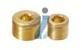 Brass Socket Pipe Plugs