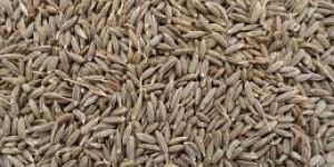 Cumin Seeds