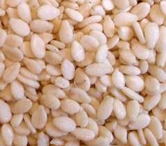 White Sesame Seeds