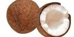 Fresh Coconut
