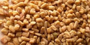 Fenugreek Seeds