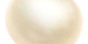 Pearl Gemstone Beads