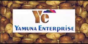 Supari Cutting Machine