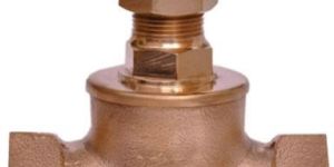 Gun Metal Globe Valve