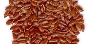 Flax Seeds