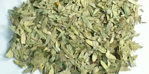 Senna Leaves