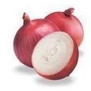 Fresh Red Onion