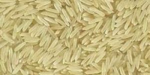 Ponni Rice