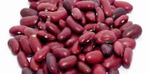 Kidney Beans