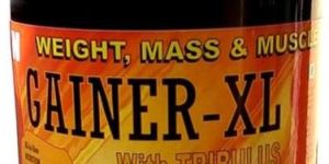 GAINER-XL