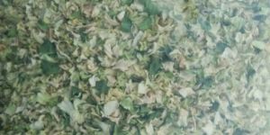 Dehydrated Cabbage Flakes