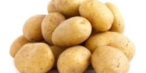 Fresh Potato