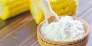 Maize Starch