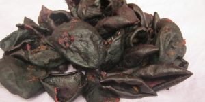 Kokum (Garcinia Indica)