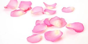 Rose Petal Powder