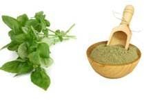 Tulsi Powder (Ocimum Sanctum)