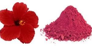 White Turmeric Powder (Curcuma Zedoaria)