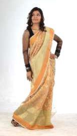 Chanderi Silk Saree
