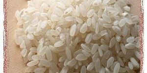 Short Rice