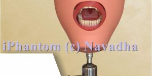 Iphantom Head Dental Simulators