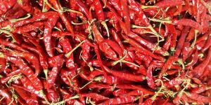 Dried Red Chilli