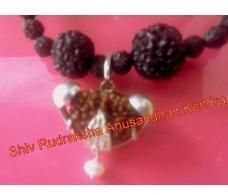 Ek Mukhi Rudraksha Necklace