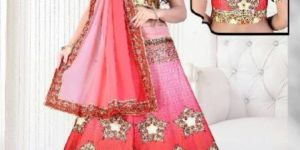 Ladies Digital Printed Lehenga Choli