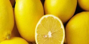 Fresh Lemon